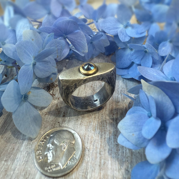 EV 11.5 Ring with Blue Sapphire set in 18k Gold