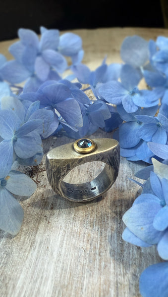 EV 11.5 Ring with Blue Sapphire set in 18k Gold