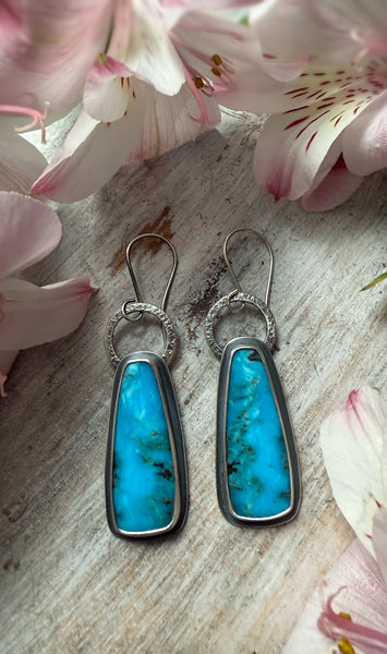 Simple Ring Turquoise Earrings