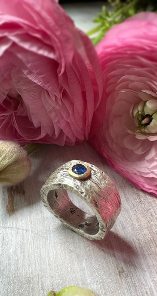 EV 2.5 Blue Sapphire