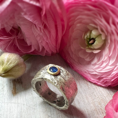 EV 2.5 Blue Sapphire