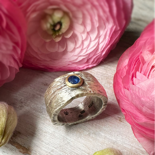 EV 2.5 Blue Sapphire