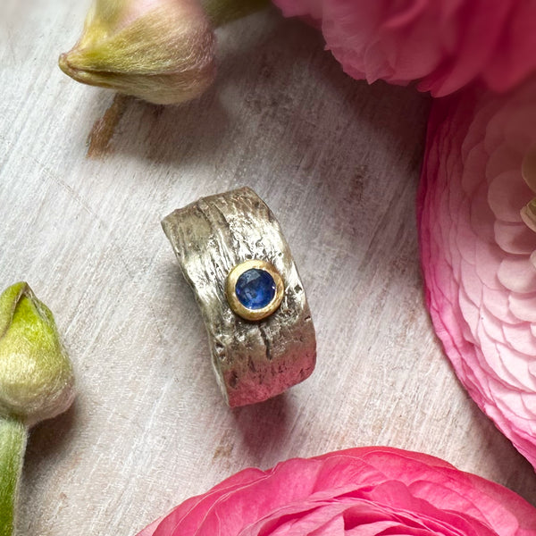 EV 2.5 Blue Sapphire